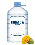 6l